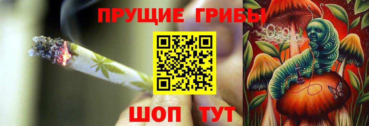 Жуковский  Псилоцибиновые грибы мицелий  Вход с VPN  Псилоцибиновые грибы Psilocybine cubensis 